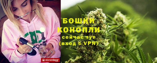 мяу мяу мука Белокуриха